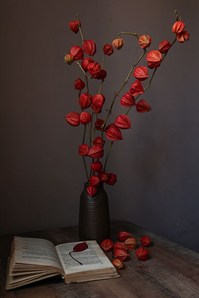 Photograph by Елена Одынец