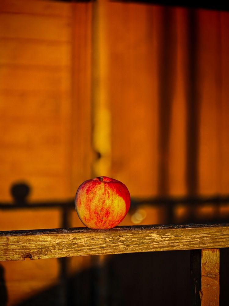 Photograph by Вячеслав Щёголев