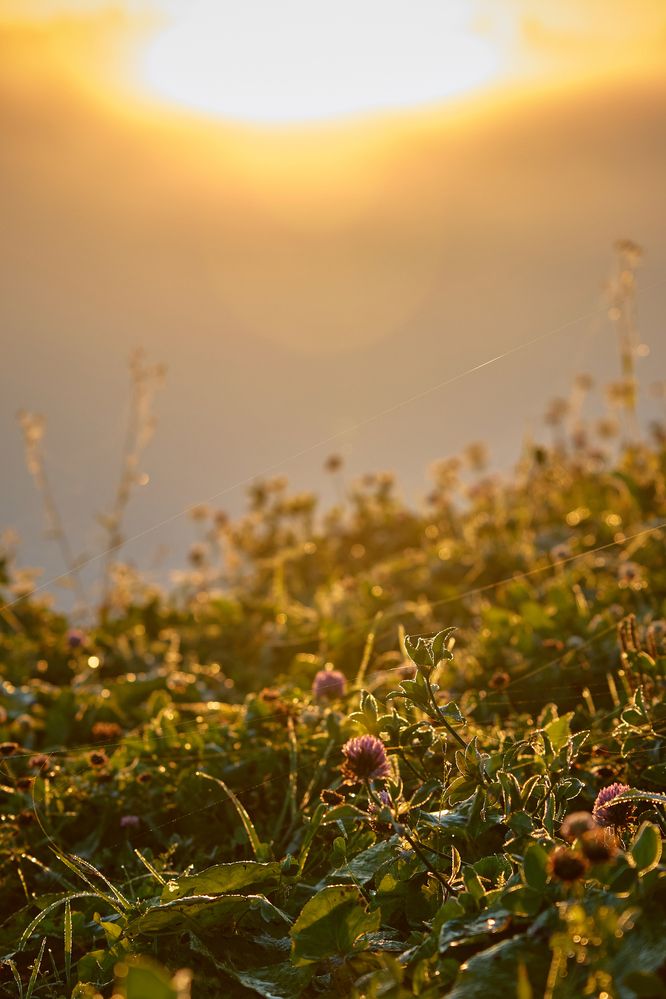 Photograph by Воробьева Людмила