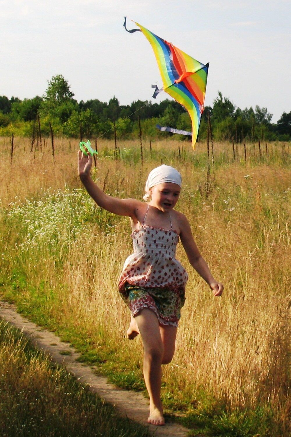 Photo #1271002