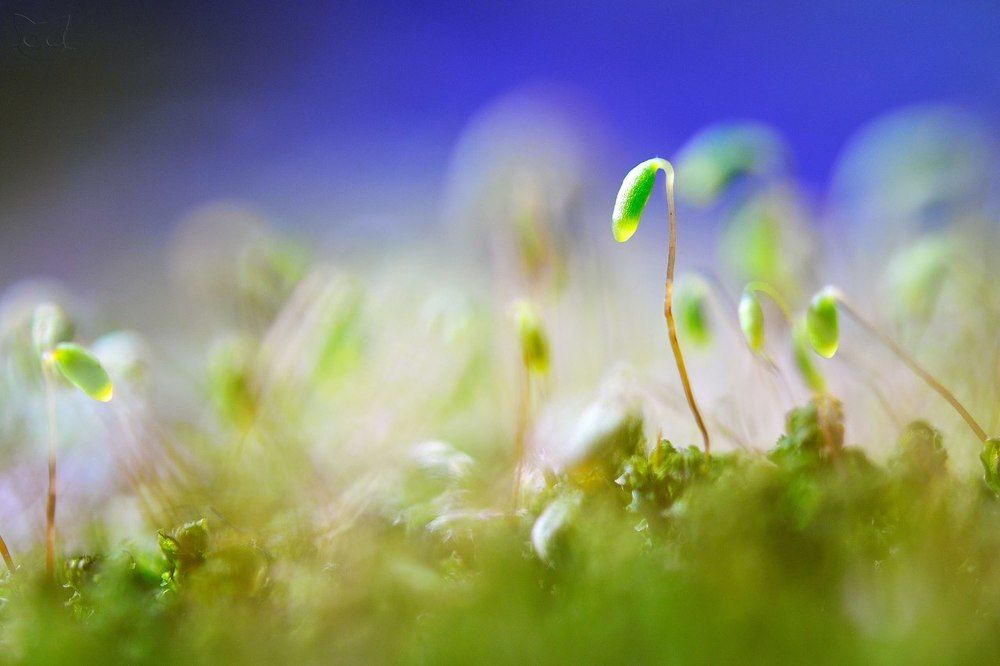 Немного ближе!