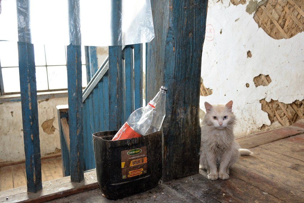 Photograph by Дмитрий