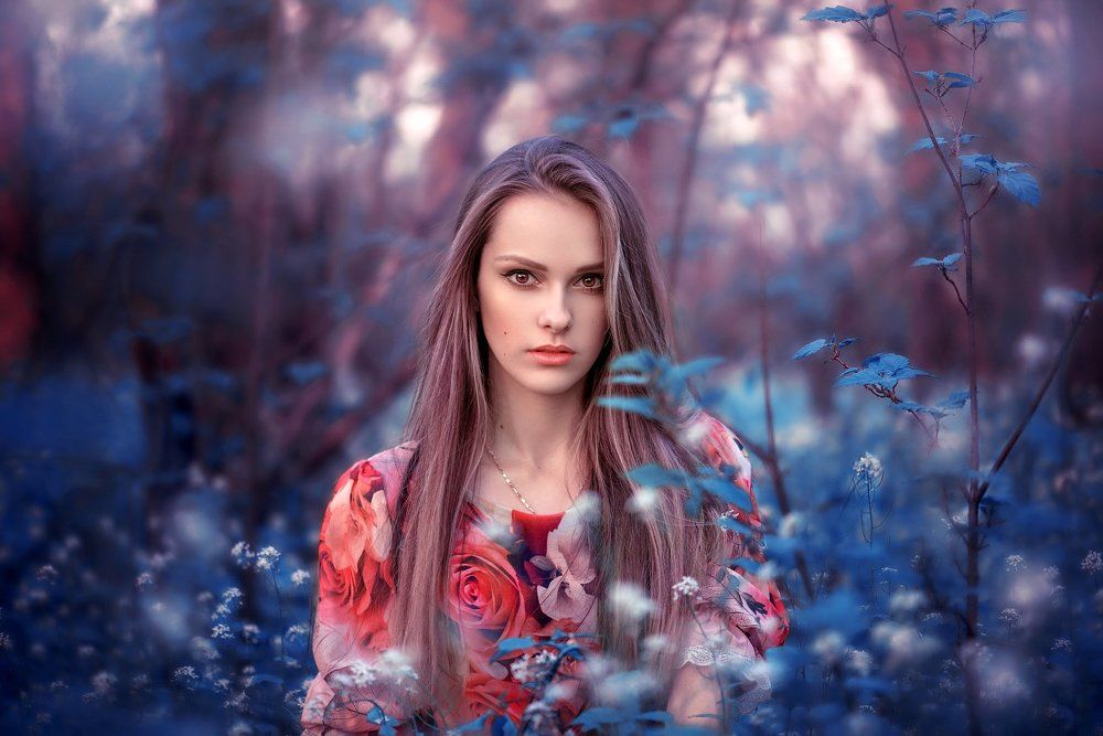 Волшебный лес