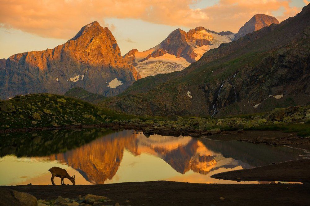 Высокогорный пейзаж