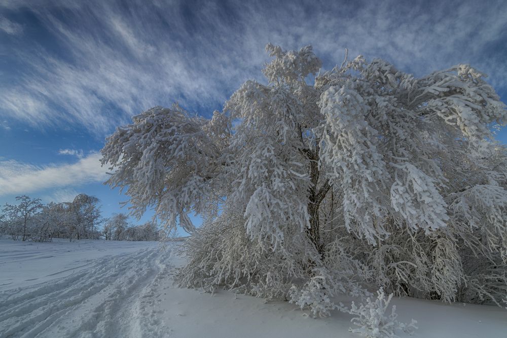 В зимнем наряде