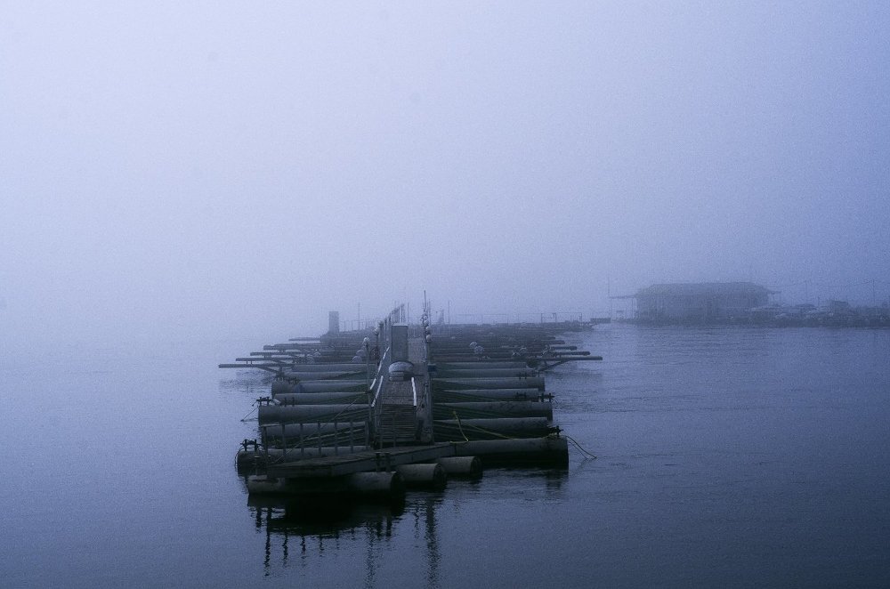 Туман на Волге