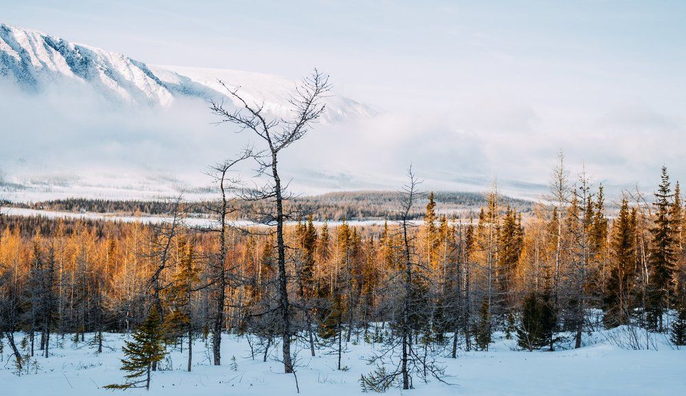 "Полярный Урал"