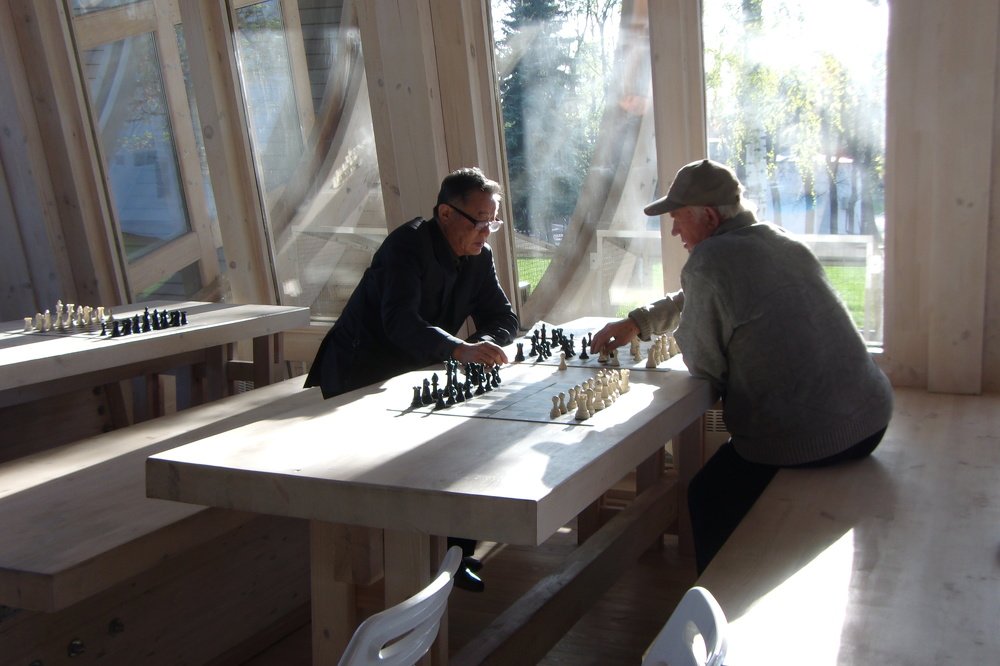 Любители шахмат