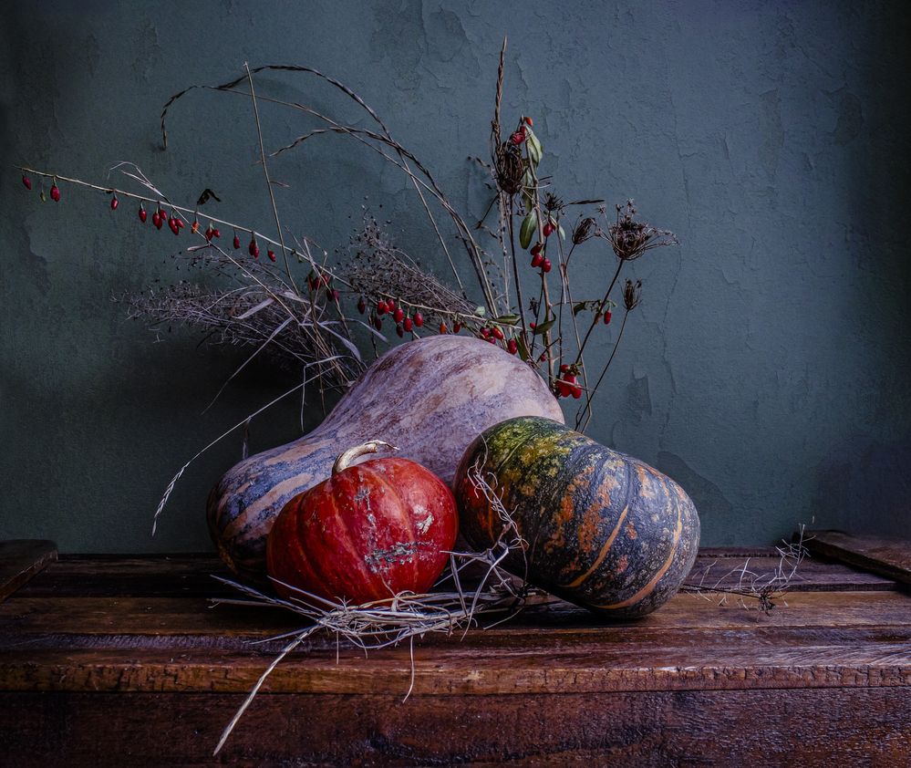 Photograph by Victoria Mogulyan