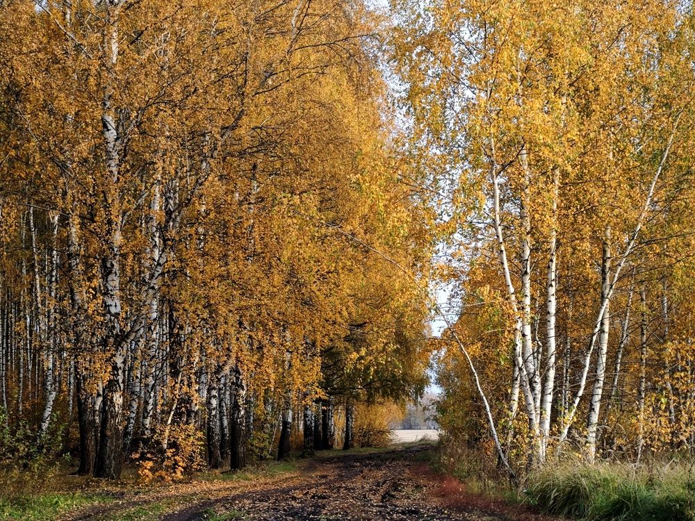 Photograph by Валерий Гудков