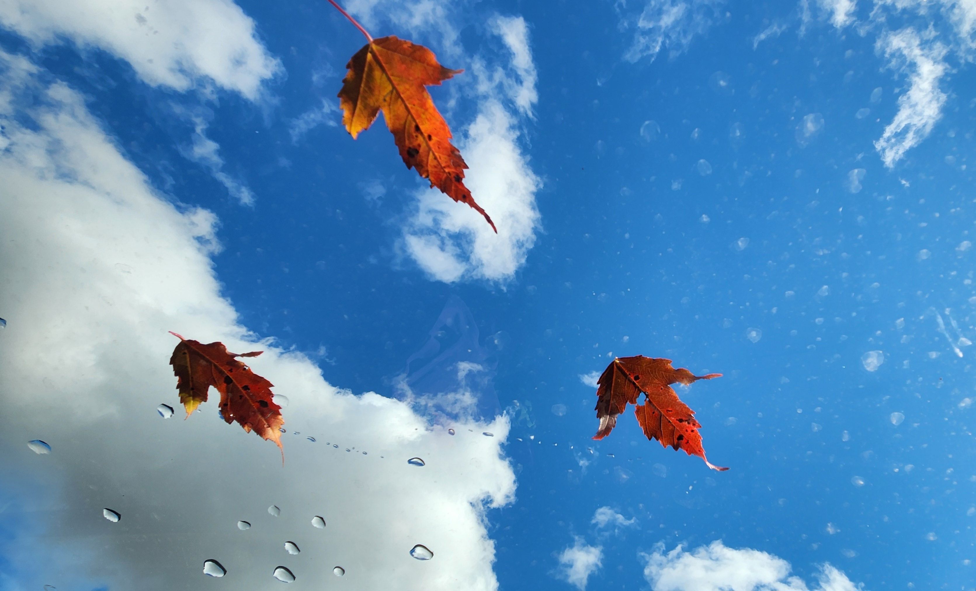 Photograph by Lyolka Gym