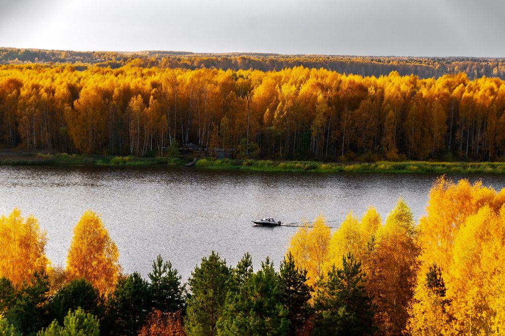 Фотография автора Елена Ефимова