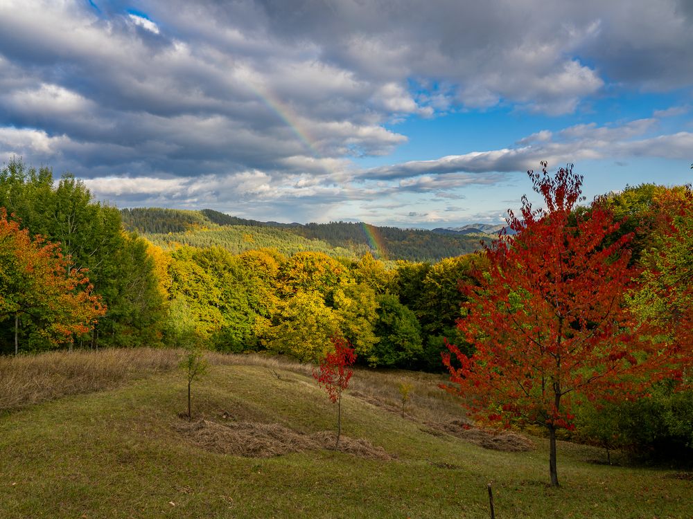 Photograph by Слави Котаров