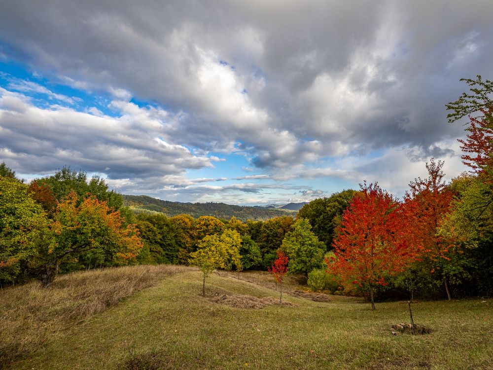 Photograph by Слави Котаров