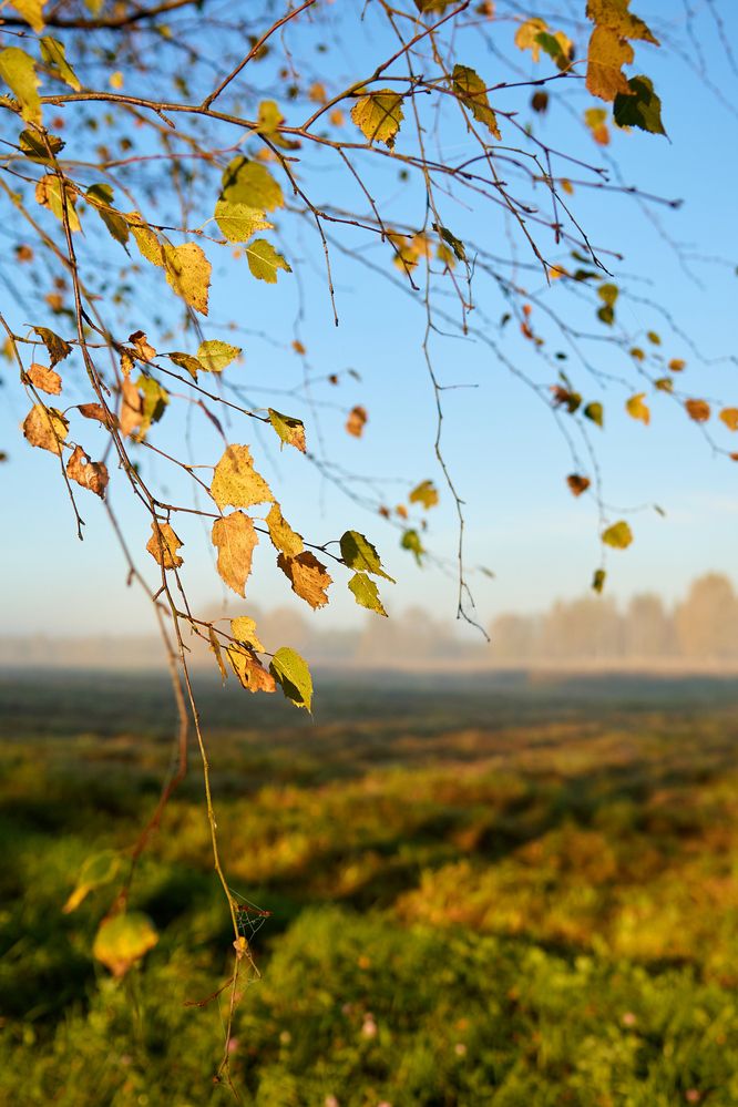 Photograph by Воробьева Людмила