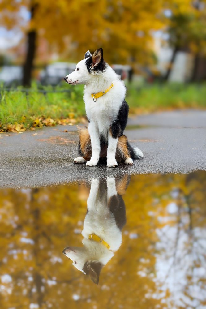 Photograph by Анастасия Ануфриева