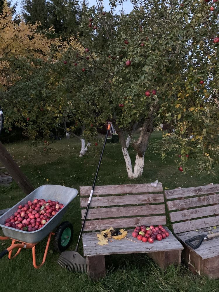 Photograph by Елена