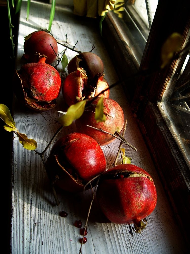 Фотография автора Hvabek Kim