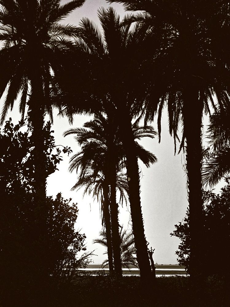 Фотография автора Ghufran Alim