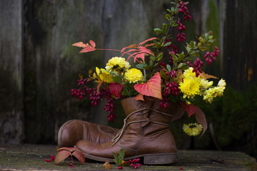 Photograph by Татьяна Ремизова
