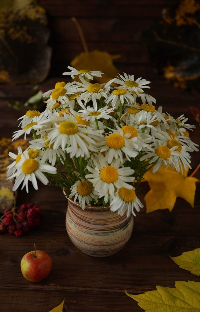 Photograph by Swetlana Smiryagina