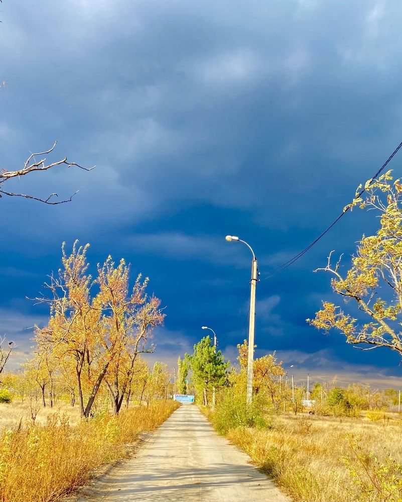 Photograph by Ирина Молибог