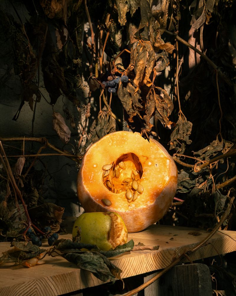 Фотография автора Светлана Громова