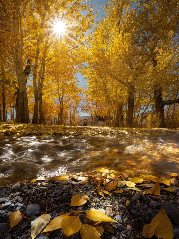 Photograph by Dmitry Medyancev