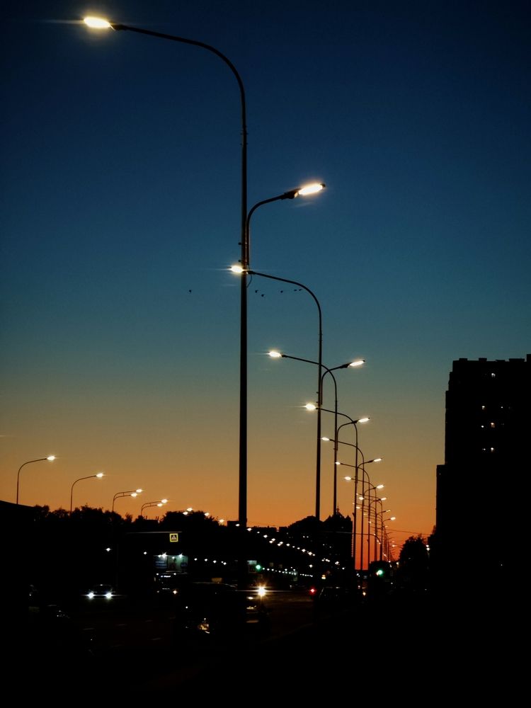 Photo #12700555