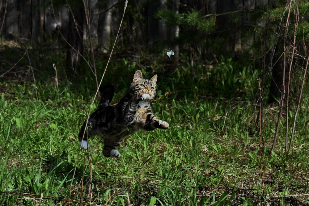 Photograph by Роман Пацкевич