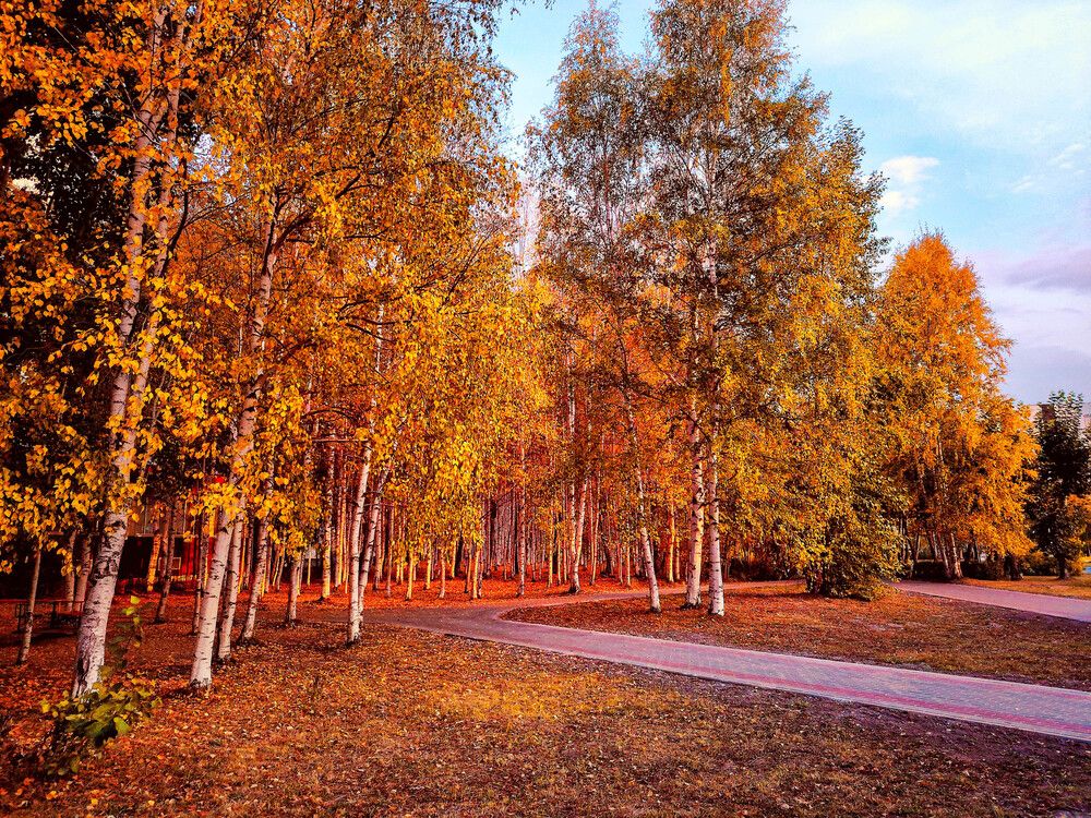 Photograph by Виталий Са