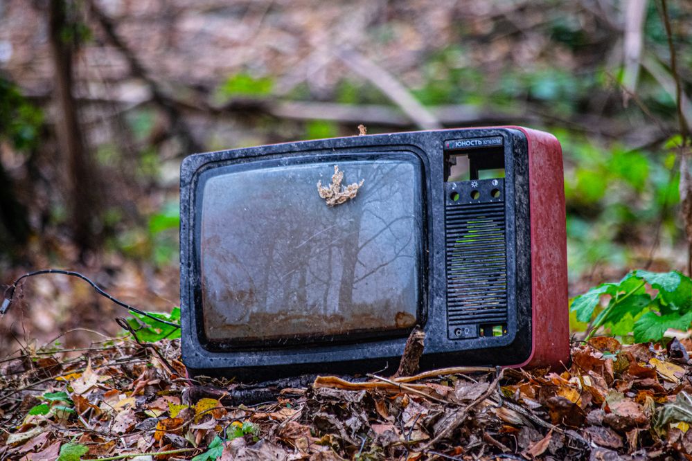 Photograph by Дмитрий Анисимов