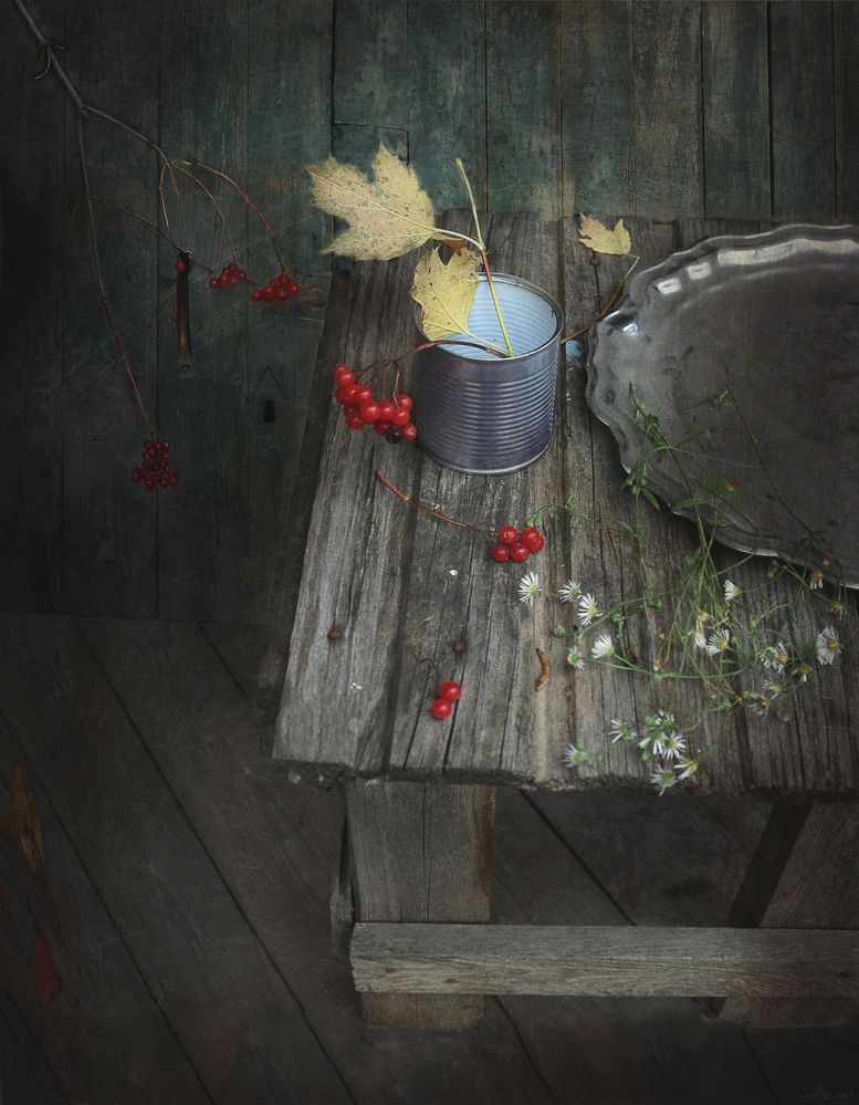 Photograph by Ирина Анцыгина