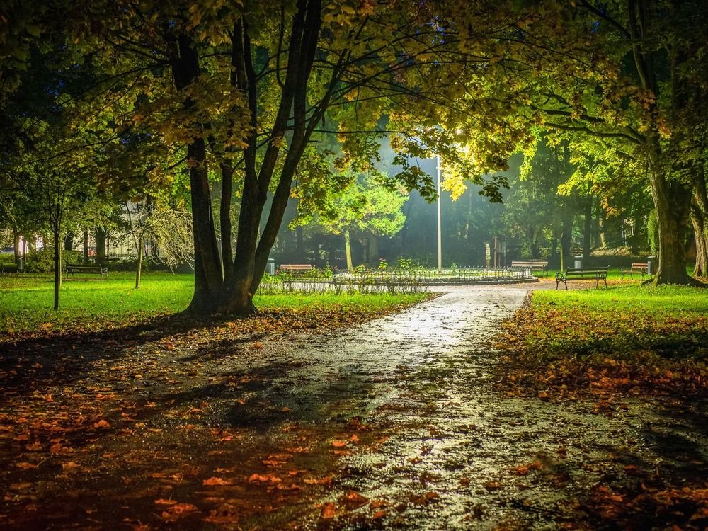 Photograph by Kazimierz Bryniak
