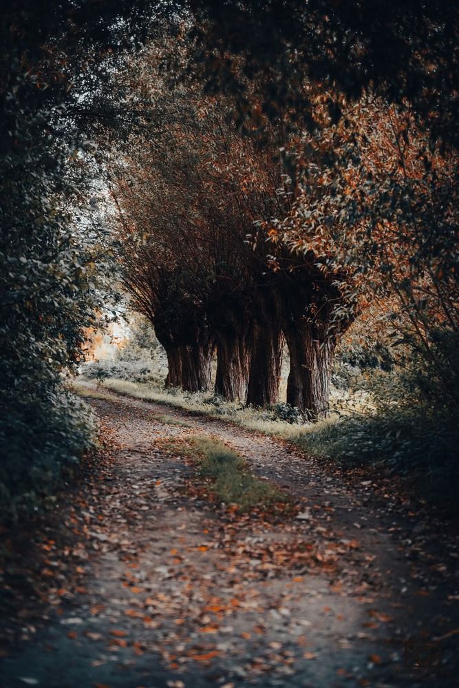 Photograph by Kazimierz Bryniak