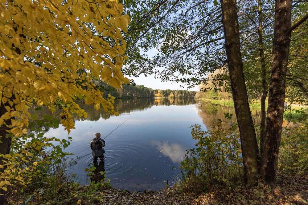 Photograph by Алексей Новиков