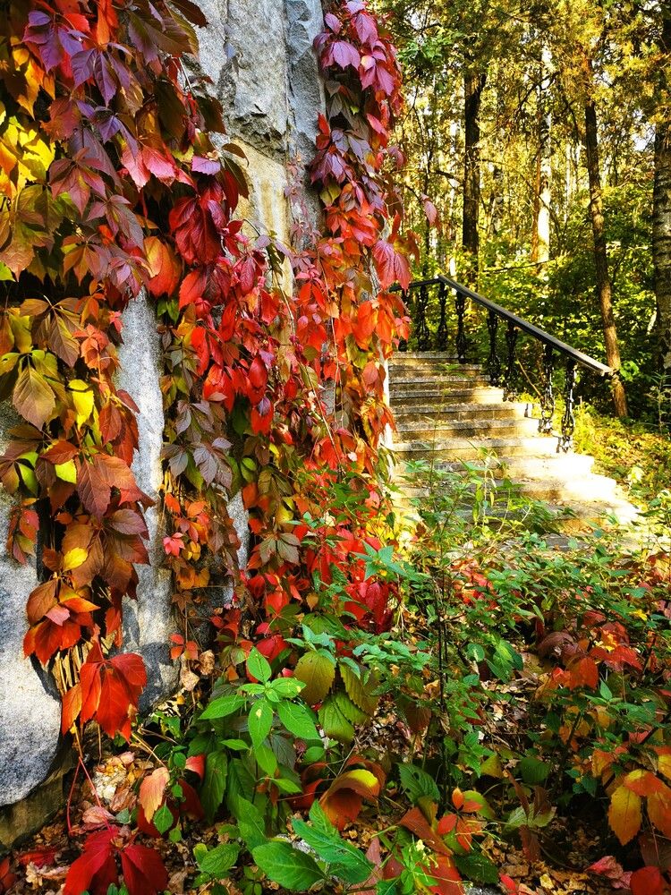 Фотография автора Сергей Валентинович Варламов