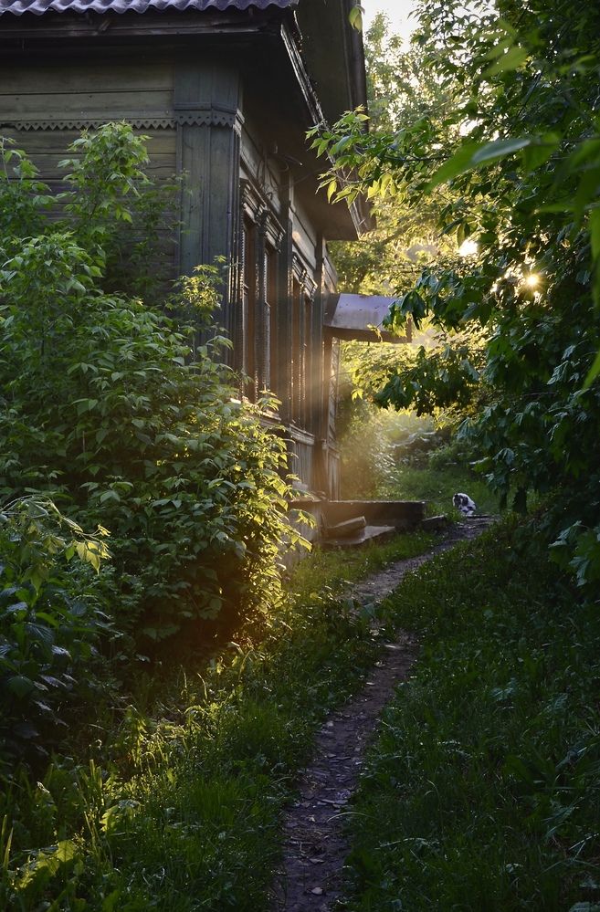 Photograph by Татьяна Зуйкова