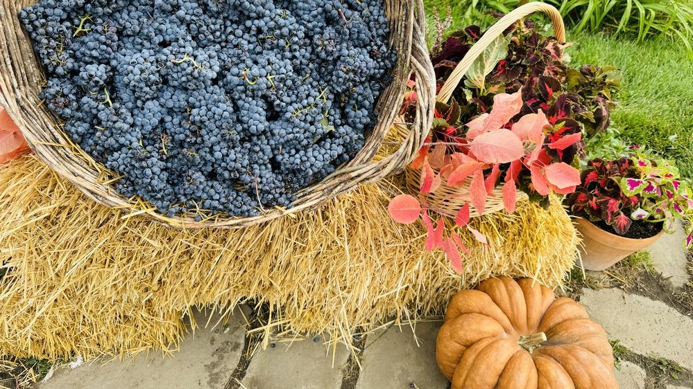 Photograph by Сергей Смирнов