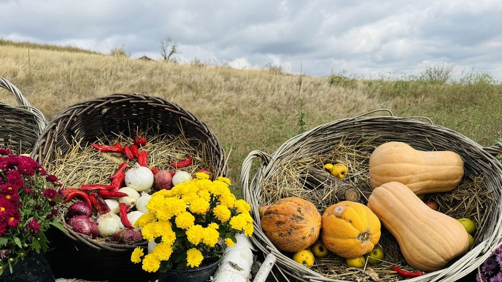 Photograph by Сергей Смирнов