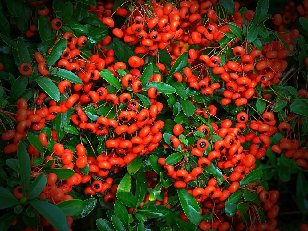 Photograph by Фартушняк Сергей