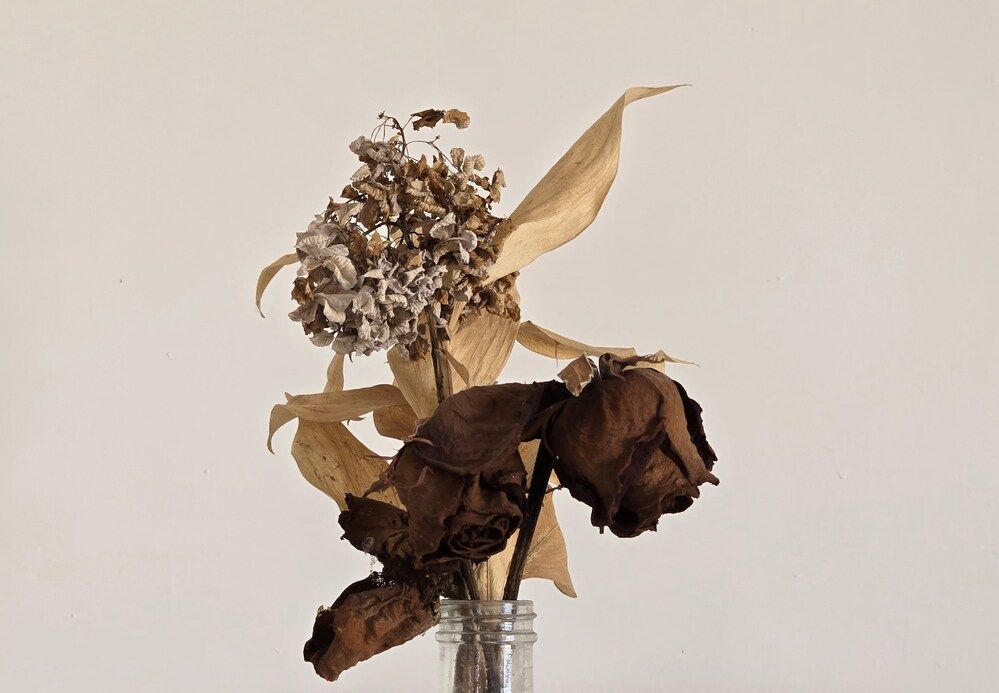 Photograph by Kaouche Mohamed