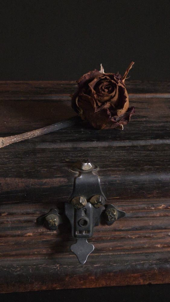 Photograph by Kaouche Mohamed