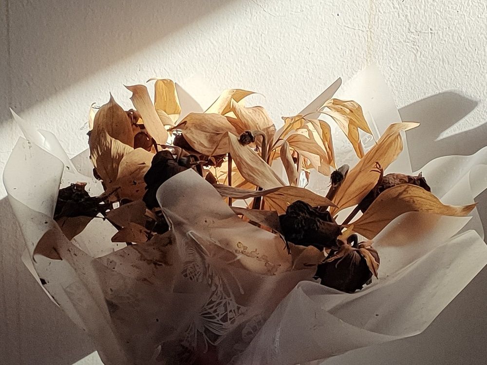 Photograph by Kaouche Mohamed