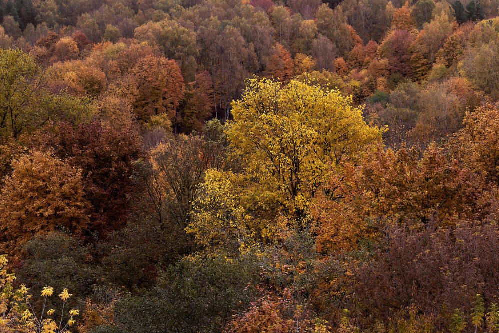 Photograph by Mikhail Kirillov