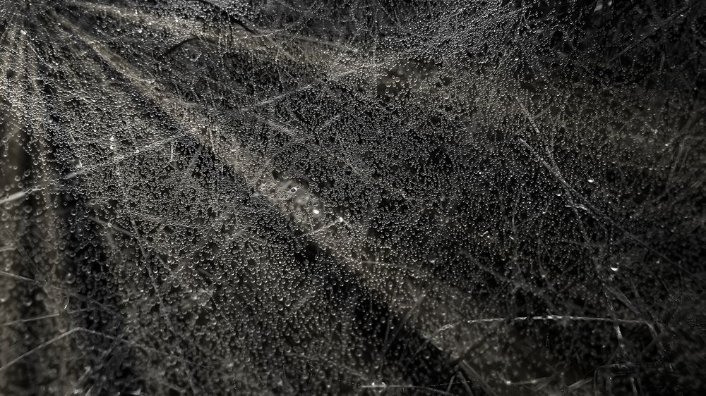 Photograph by Фартушняк Сергей