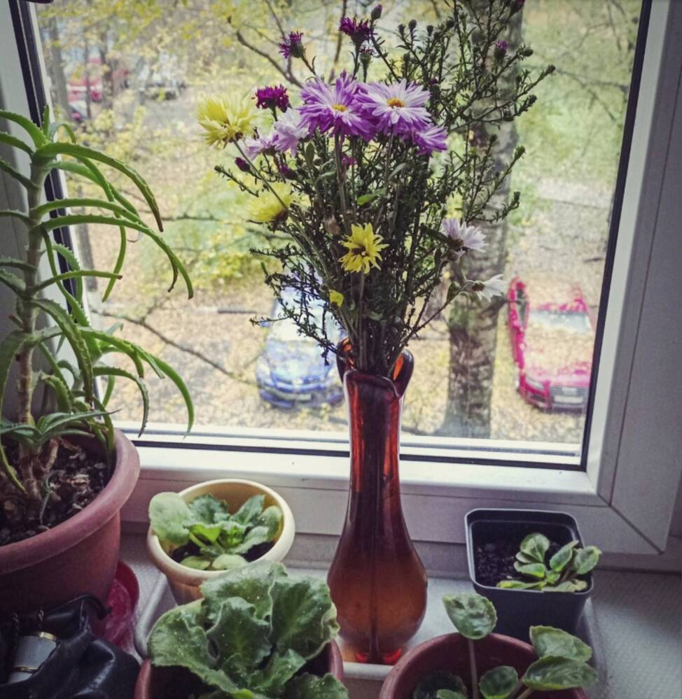 Photograph by Sergey Kurkov-Tarkovsky