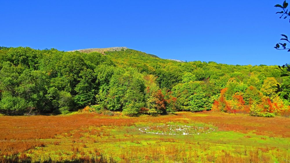 Photograph by Фартушняк Сергей