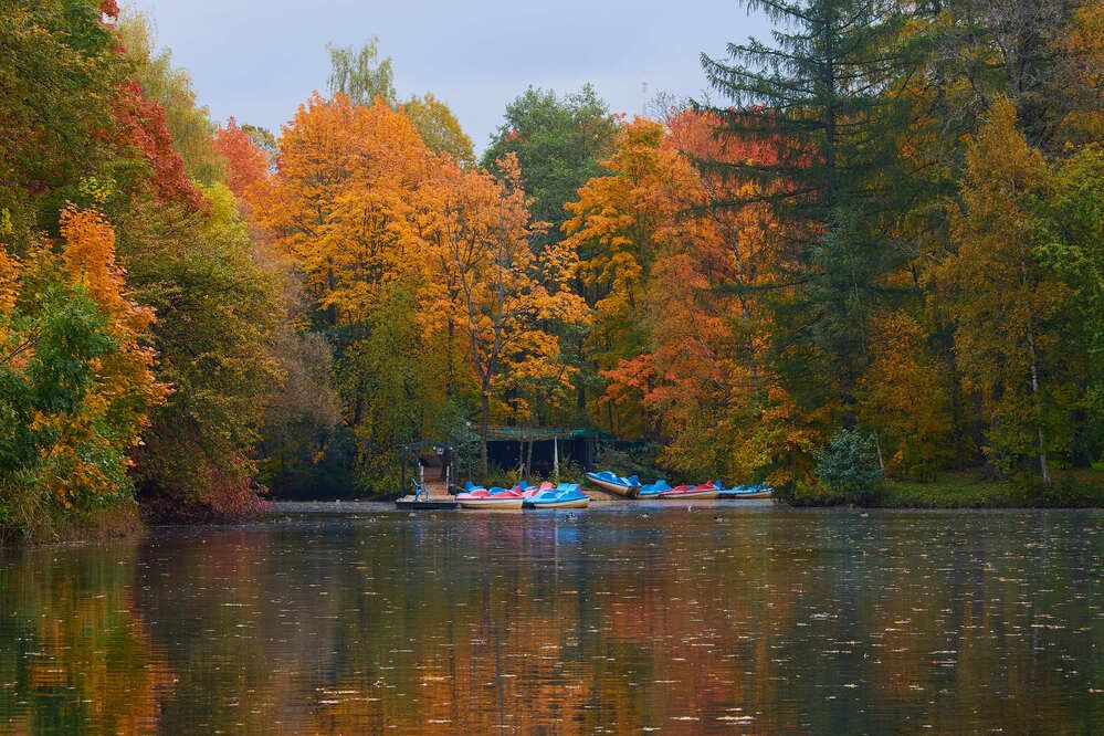 Photograph by Людмила Сарыцина