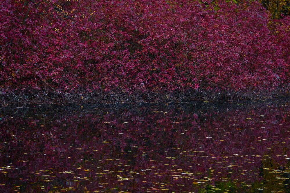 Photograph by Людмила Сарыцина